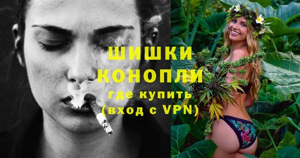 гидропоника Белокуриха