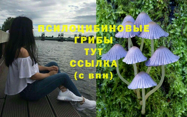 гидропоника Белокуриха
