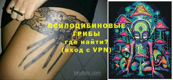 гидропоника Белокуриха