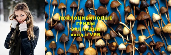 гидропоника Белокуриха